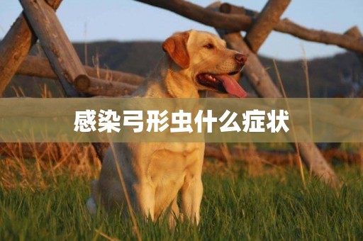 感染弓形蟲什么癥狀