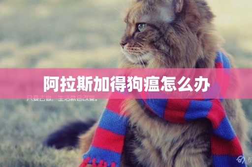 阿拉斯加得狗瘟怎么辦