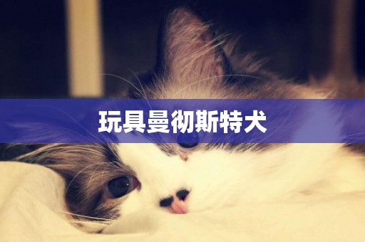 玩具曼徹斯特犬