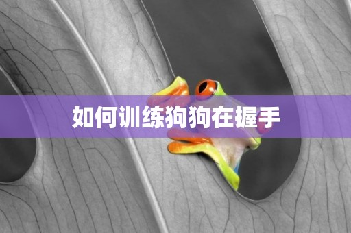 如何訓練狗狗在握手