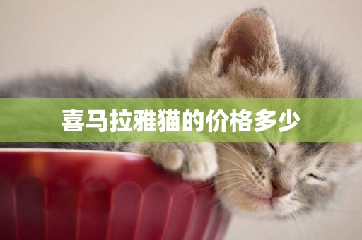 喜馬拉雅貓的價格多少