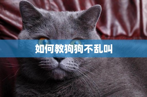 如何教狗狗不亂叫