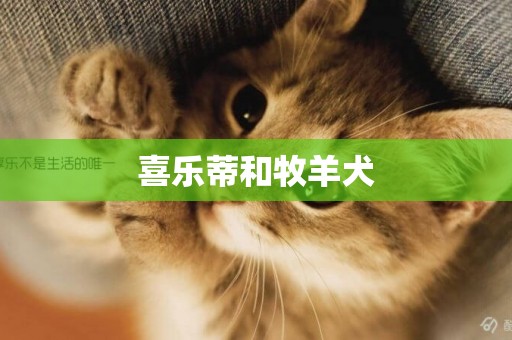 喜樂蒂和牧羊犬