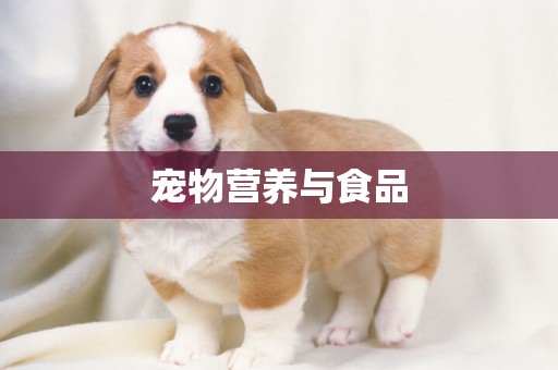 寵物營養與食品