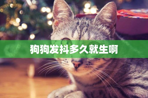 狗狗發抖多久就生啊