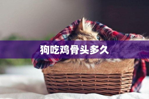 狗吃雞骨頭多久
