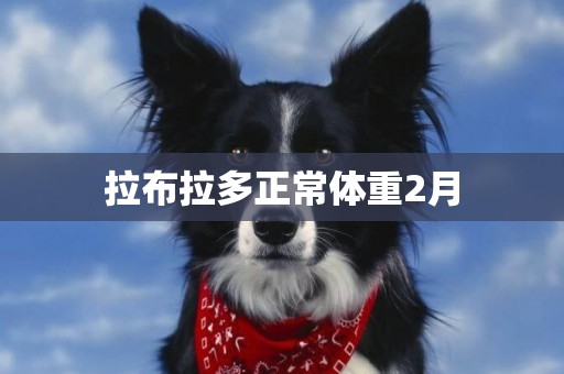 拉布拉多正常體重2月