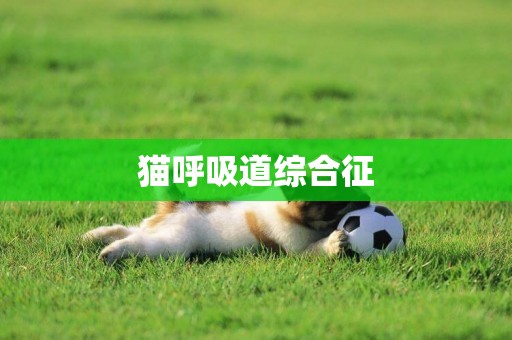 貓呼吸道綜合征