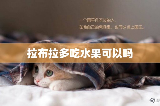 拉布拉多吃水果可以嗎