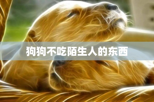 狗狗不吃陌生人的東西