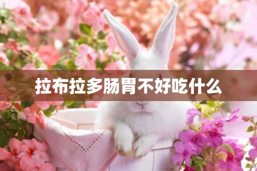 拉布拉多腸胃不好吃什么