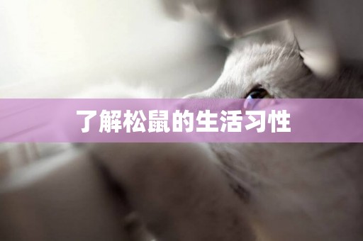 了解松鼠的生活習性