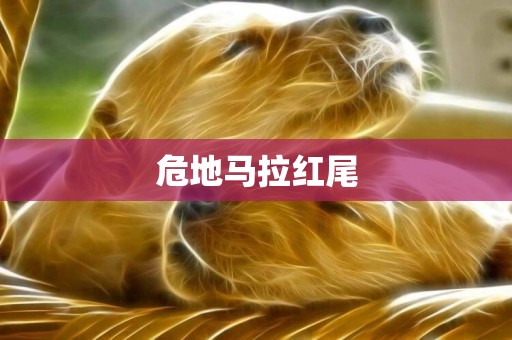危地馬拉紅尾