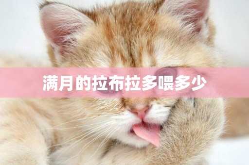滿月的拉布拉多喂多少