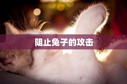 阻止兔子的攻擊