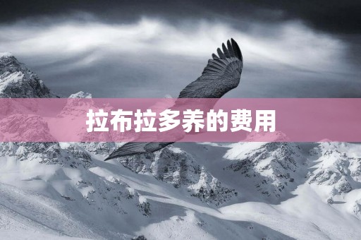 拉布拉多養的費用