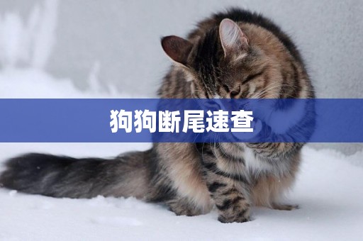 狗狗斷尾速查