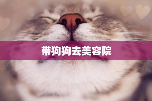 帶狗狗去美容院