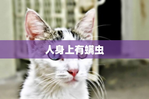 人身上有螨蟲