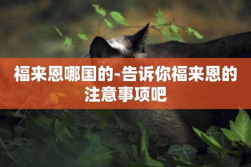 福來恩哪國的-告訴你福來恩的注意事項吧
