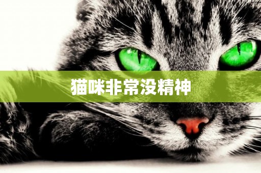 貓咪非常沒精神