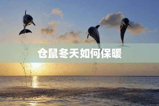倉鼠冬天如何保暖
