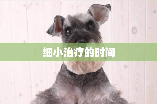 細小治療的時間