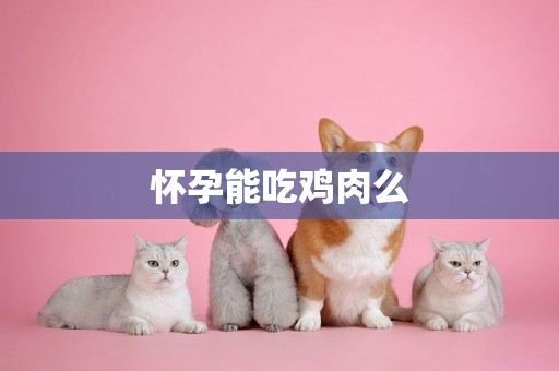 懷孕能吃雞肉么