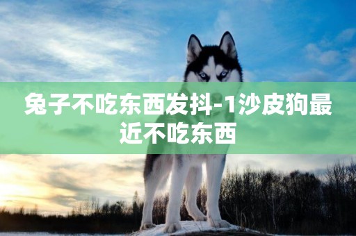 兔子不吃東西發抖-1沙皮狗最近不吃東西