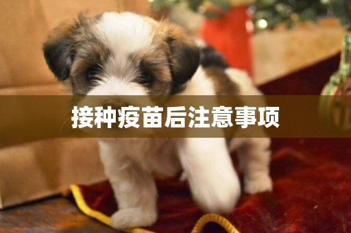 接種疫苗后注意事項