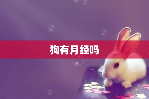 狗有月經嗎