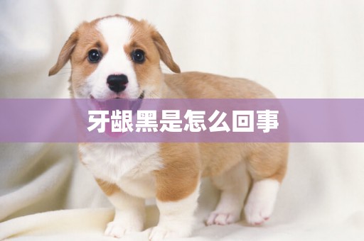 牙齦黑是怎么回事