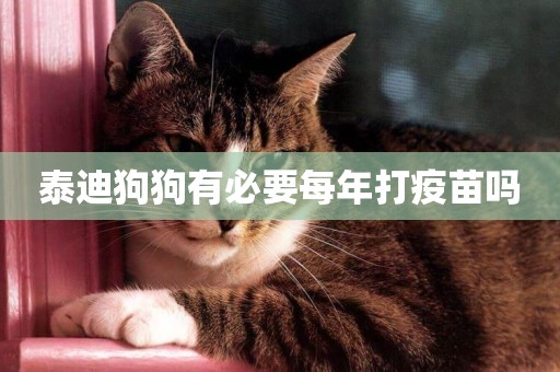 泰迪狗狗有必要每年打疫苗嗎
