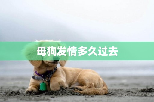 母狗發情多久過去