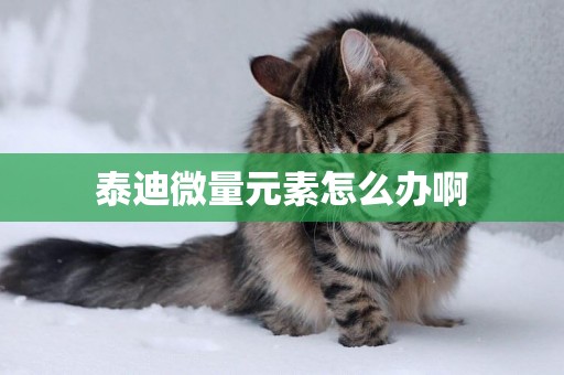 泰迪微量元素怎么辦啊