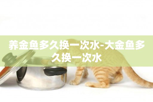 養金魚多久換一次水-大金魚多久換一次水