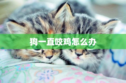 狗一直咬雞怎么辦