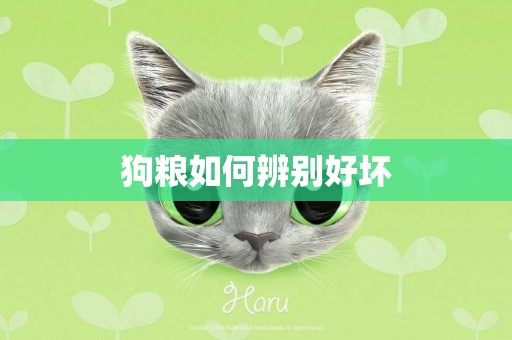 狗糧如何辨別好壞