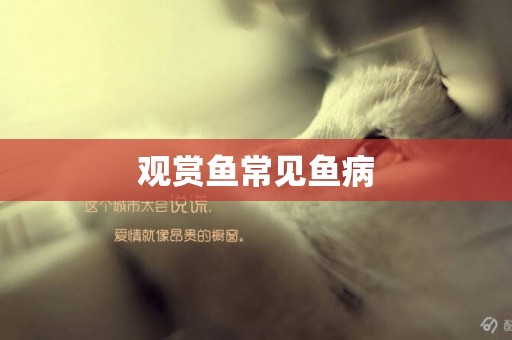 觀賞魚常見魚病