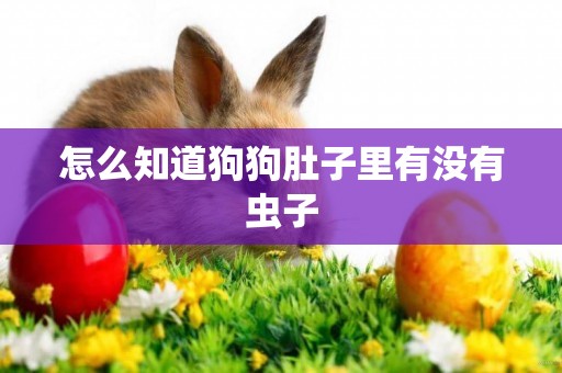怎么知道狗狗肚子里有沒有蟲子