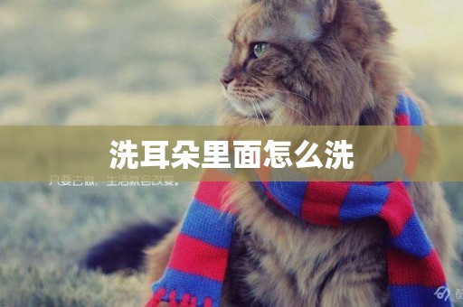 洗耳朵里面怎么洗