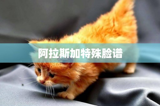 阿拉斯加特殊臉譜