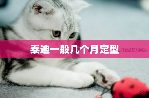 泰迪一般幾個月定型