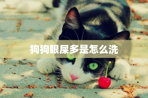 狗狗眼屎多是怎么洗