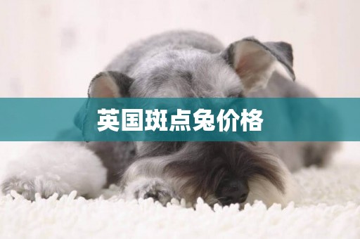 英國斑點兔價格