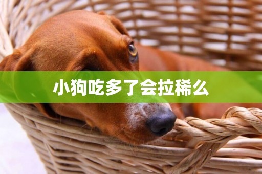 小狗吃多了會拉稀么
