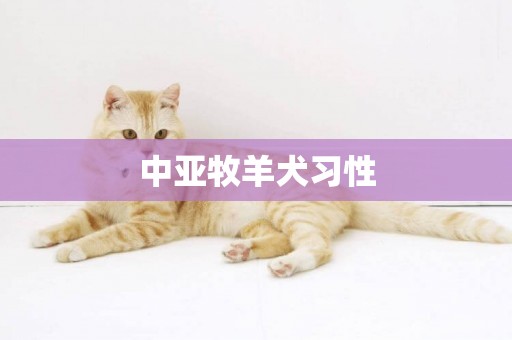 中亞牧羊犬習性