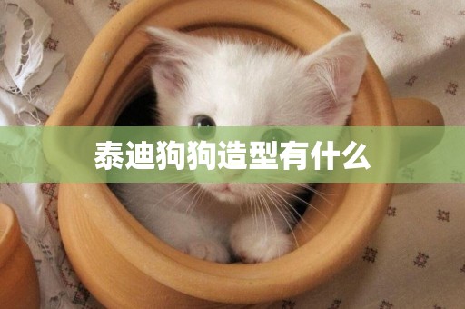 泰迪狗狗造型有什么