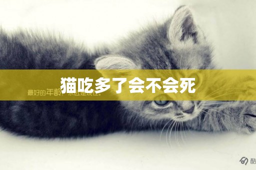 貓吃多了會不會死