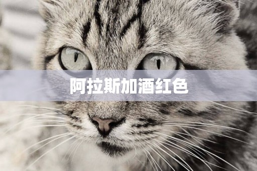 阿拉斯加酒紅色